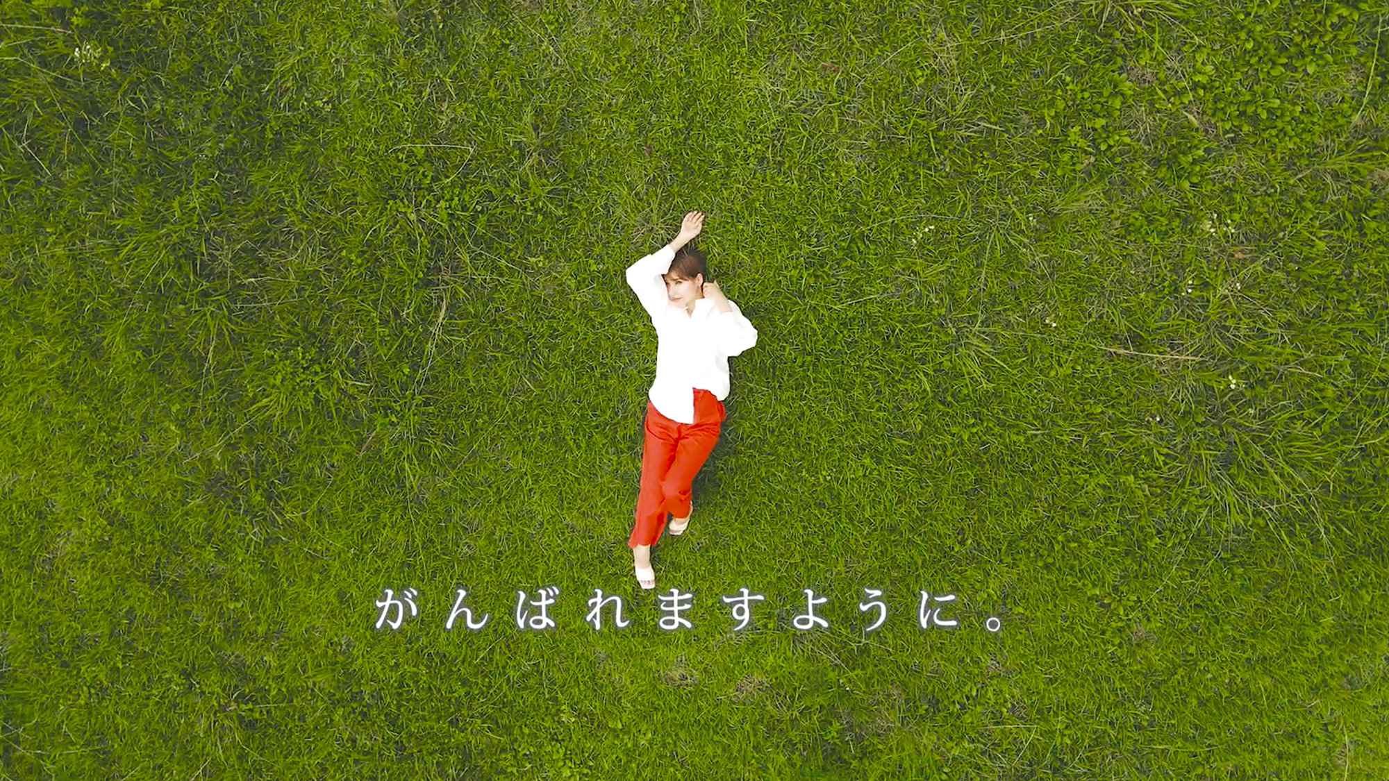 HARISPA実績写真