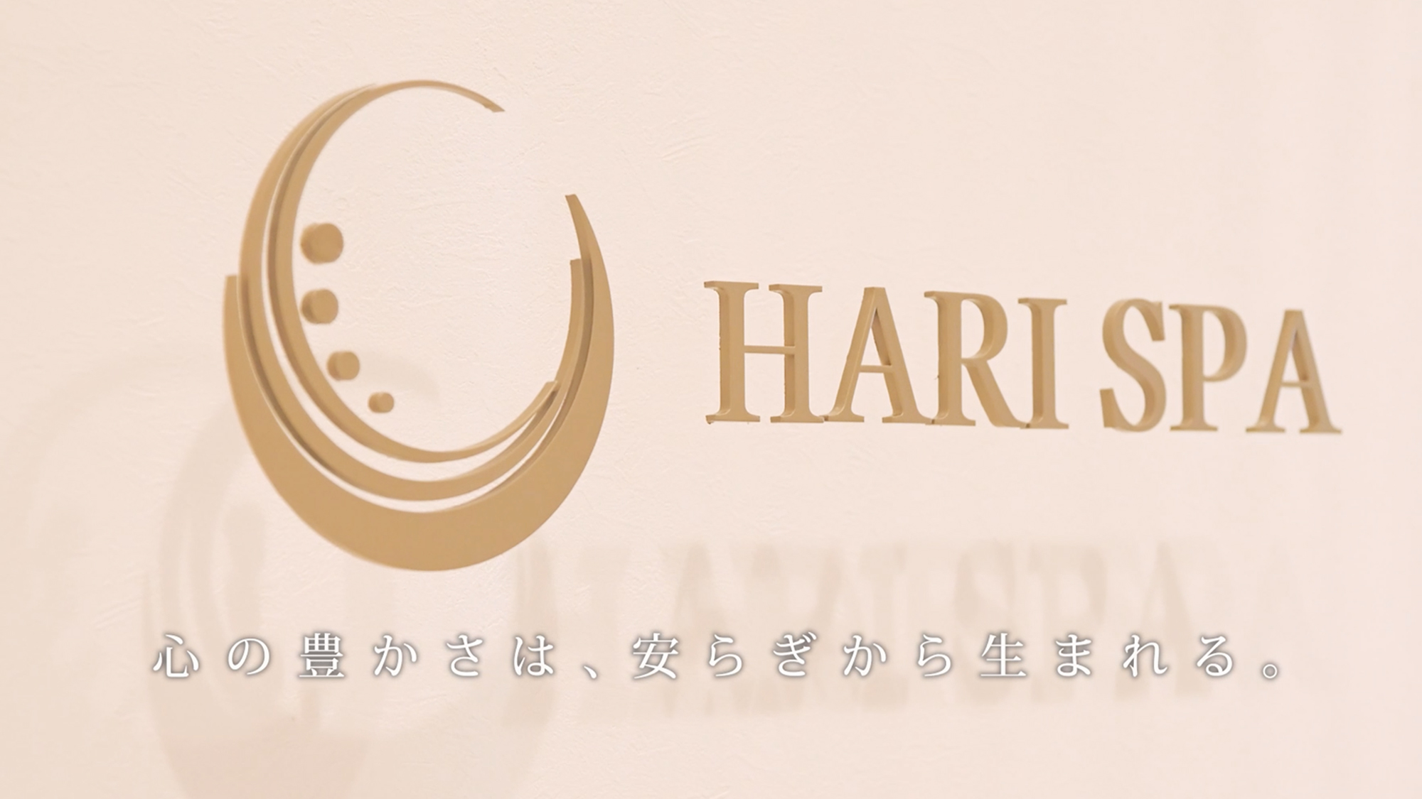 HARISPA実績写真